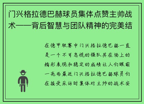 门兴格拉德巴赫球员集体点赞主帅战术——背后智慧与团队精神的完美结合