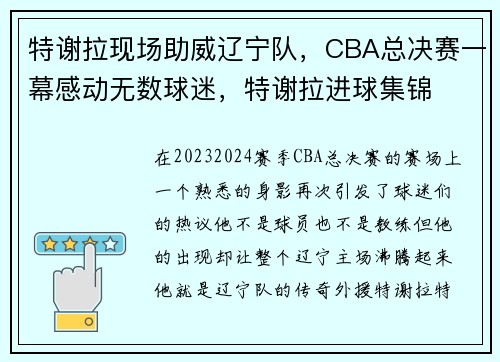 特谢拉现场助威辽宁队，CBA总决赛一幕感动无数球迷，特谢拉进球集锦