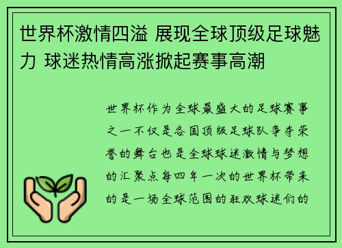 世界杯激情四溢 展现全球顶级足球魅力 球迷热情高涨掀起赛事高潮