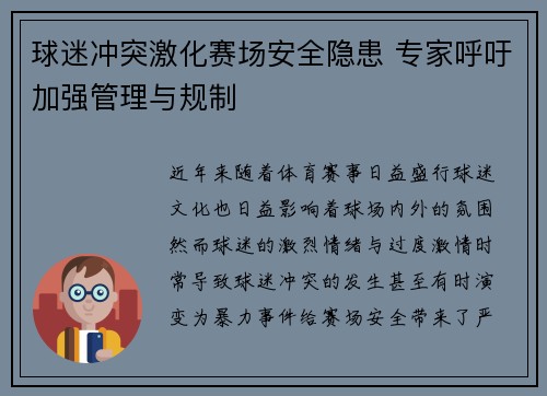 球迷冲突激化赛场安全隐患 专家呼吁加强管理与规制
